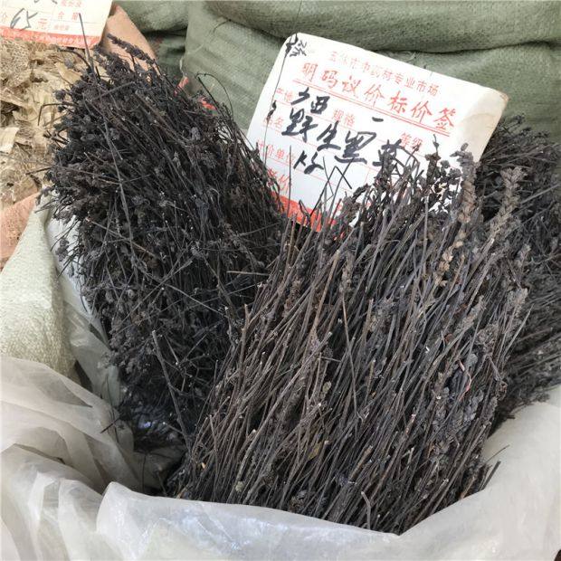 新货野生鬼羽箭 中药材 黑草 羽箭草 黑骨草克