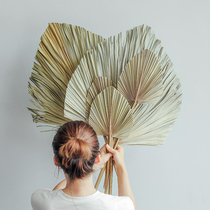 Pu fan dried flower Big Kwai yesen flower shop display soft arch wedding decoration scene arrangement palm leaves
