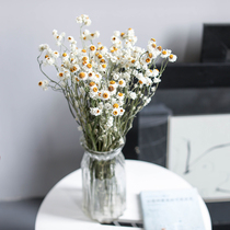 Little Daisy dried flower bouquet Norse White imported real flower decoration ornaments clumsy elephant eternal flower silver Bud chrysanthemum