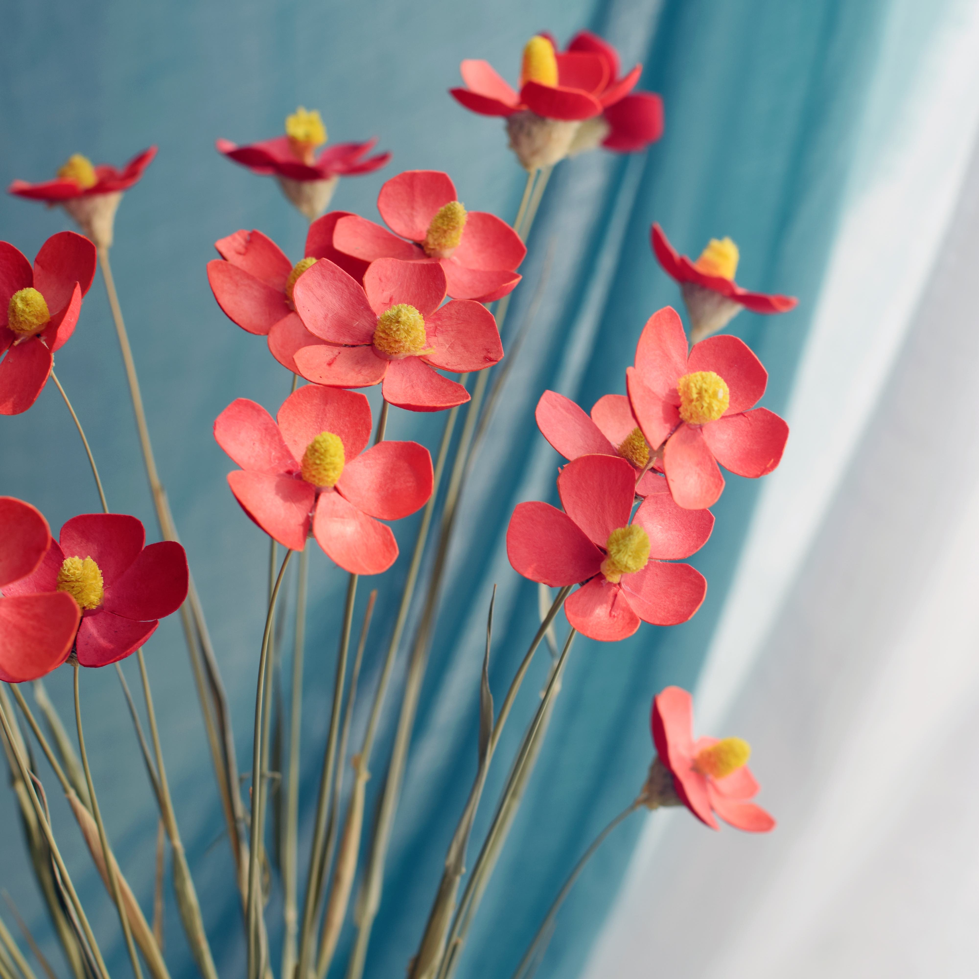 violets, butterflies, dried flowers, bouquets, real flowers, art living room decorations, shooting props, materials, handmade immortal flowers