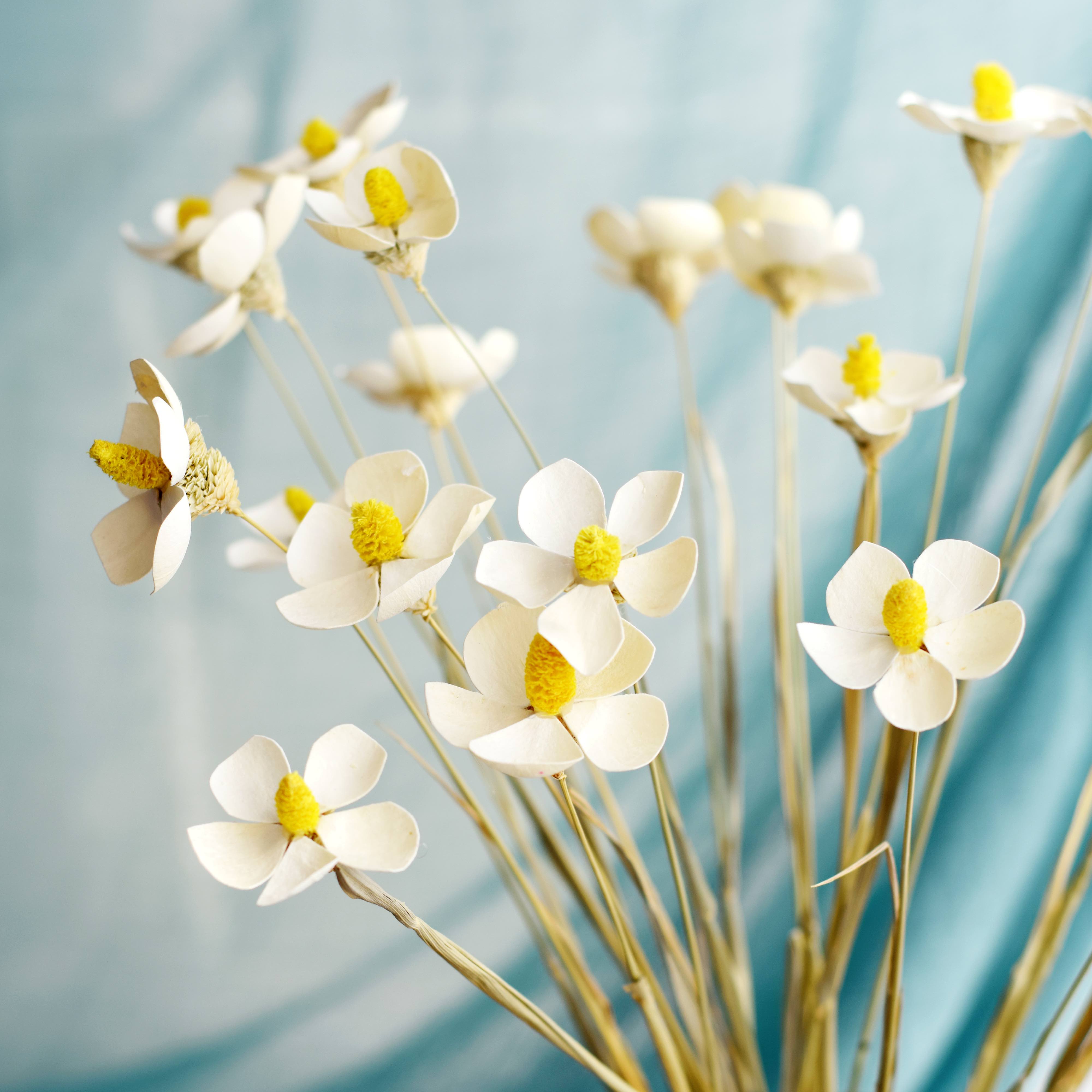 violets, butterflies, dried flowers, bouquets, real flowers, art living room decorations, shooting props, materials, handmade immortal flowers