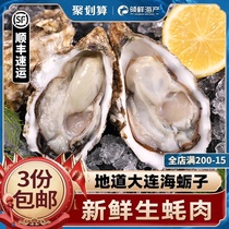 Dalian oyster meat Oyster meat Ready-to-eat oyster meat sashimi Fresh fresh frozen seafood aquatic products freshly peeled