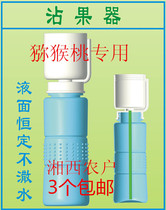 Upgraded kiwi dipped fruit cup Songer swelling agent expander dyed stone pine pollinator