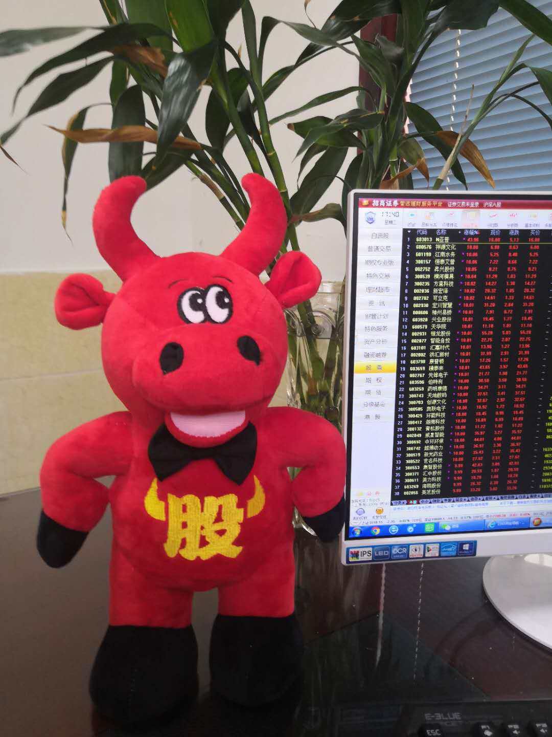 股市红牛毛绒玩具公仔布娃娃玩偶创意礼物牛市吉祥物结婚礼品抱枕