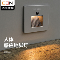 Seaton lighting foot light Night light led ladder step light type 86 human body induction embedded home aisle stairs