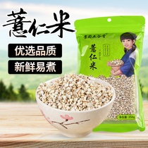 Fresh small coix seed barley rice seed new barley porridge raw material 350gx5 bags