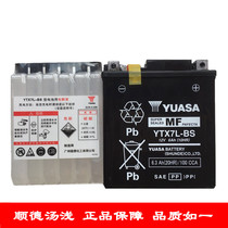 Wuyang Honda Machete New Youku Youke Youke Youyue 110FI maintenance-free pedal motorcycle battery 12V battery