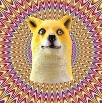 Mental pollution doge God annoying dog head cover Magic Dog head mask Akita dog single dog mask party