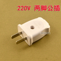 220V power supply male plug two legs 2 pole two phase AC national standard plug high power pure copper flat foot plug