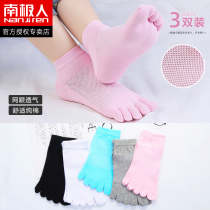 Antarctic five finger socks ladies summer thin cotton socks cute Japanese mesh toe socks set short tube socks