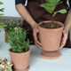 High-end texture cement flower pot with tray Nordic home gardening rustic creative simple green plant pot ins wind High-end texture cement flower pot with tray Nordic home gardening rustic creative simple green plant pot ins wind