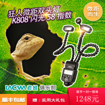 Madman double-headed flash K808 old frog macro lens Guago lamp dentist oral insect jewelry shooting film
