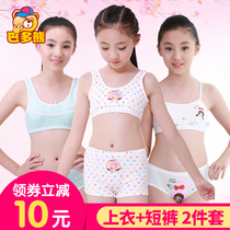 Girls  underwear small vest development primary school students middle school children cotton childrens little girl bra underwear 12-15 years old
