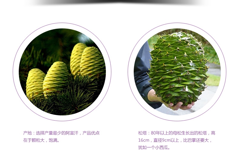 经典款详情-字体修改-修改文案_12.jpg