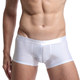 ຊຸດຊັ້ນໃນຂອງຜູ້ຊາຍ ice silk seamless boxer briefs summer antibacterial ຊາວຫນຸ່ມ ultra-thin breathable ຕ່ໍາແອວ sexy boxer briefs ຜູ້ຊາຍ trendy