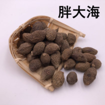 Handmade selection of fat sea 50 grams with silver and gold chrysanthemum