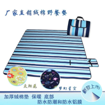 Moisture-proof mat picnic mat outdoor foldable portable climbing mat tent floor mat suede thickened multi-person waterproof mat