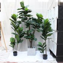 Nordic ins simulation piano leaf banyan green plant Simulation plant Fake tree Fu Lu Tree Large floor-to-ceiling decorative rubber tree