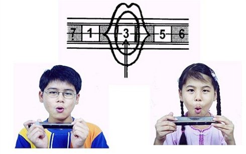 天鹅复音口琴24孔复音口琴c调 sw24初学演奏口琴