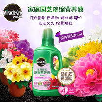 Melody nutrient solution blue snowflake Golden Dew flower Petunia petunia fertilizer concentrated flower fertilizer potted plant flower Special type