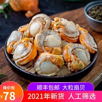 Large scallop meat open bag fresh frozen no ice coat 3kg garlic scallops commercial seafood fresh aquatic products