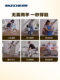 Skecher Flash Wear Shoes Lazy People 도보 스포츠 캐주얼 신발 Skecher Flash Wear Shoes Lazy People 도보 스포츠 캐주얼 신발