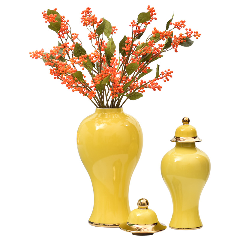 Creative light key-2 luxury ceramic vases, the sitting room TV wine porch home furnishing articles