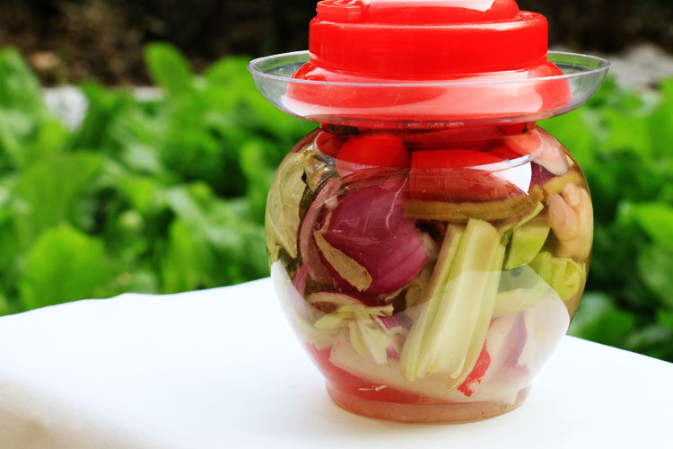 四川泡菜农家正宗自制【泡什锦 泡菜坛 母水】1000g孕妇菜无添加