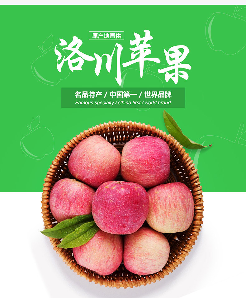 洛川苹果12个家庭礼盒装(果径85mm)陕西特产水果