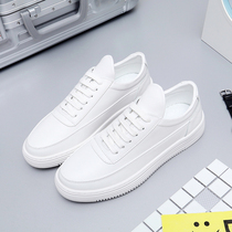 Summer Men Shoes Wave Shoes 100 Hitch White Board Shoes Youth Sports Casual Shoes Submale Dermis Korean Version Trendy Little White Shoes
