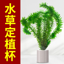 Crazy aquatic plants aquatic plants anti-floating fixed aquatic plants hexagonal round aquatic grass fixing ring ceramic ring