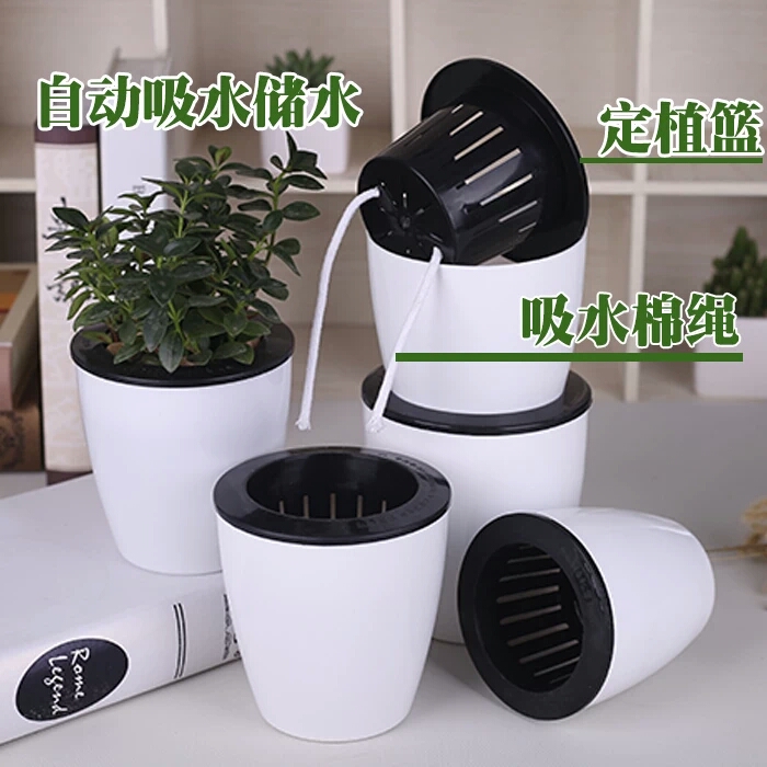 懒人花盆自动吸水储水花盆高档塑料圆形半透明绿植盆栽可水培包邮_7折