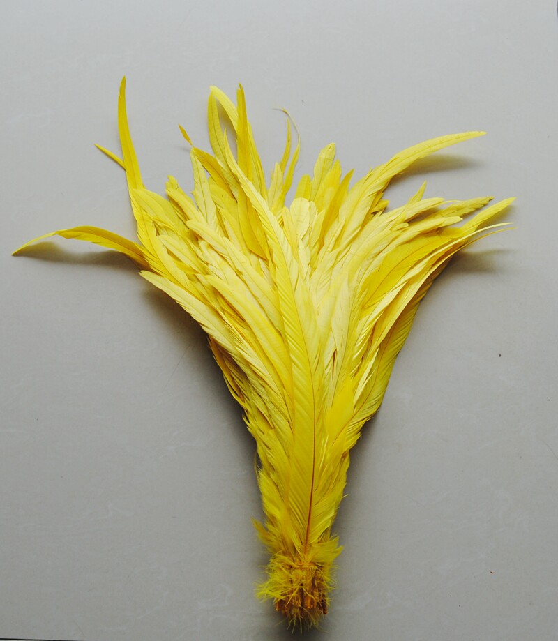 三年以上公鸡尾毛 鸡毛 羽毛 n色 1根 服装辅料 演出用品舞台道具