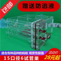 Xiaomo Ant Hall acrylic ant nest floor 6 test tube nest Ant Workshop six test tube nest Ant Castle