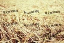 2018 new natural pure dried rice and wheat grass is suitable for rabbits live Dutch pigs chinchillas live heating and making nests