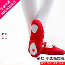 Belly dance dance shoes Dance shoes Soft-soled practice shoes Canvas yoga shoes Female adult cat claw shoes Ballet shoes