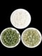 천연 hetian jade sparse bead mutton 지방 흰색 맑은 물 녹색 녹색 녹색 흰색 jade jade jowelry accessories 팔찌 재료 천연 hetian jade sparse bead mutton 지방 흰색 맑은 물 녹색 녹색 녹색 흰색 jade jade jowelry accessories 팔찌 재료