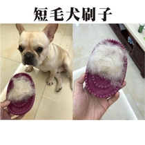 Shorthair dog bristle artifact comb French doo Ying doo Pug bully dog bath brush off hair fluff