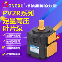 Dongxu hydraulic quantitative vane pump PV2R series medium high pressure low noise Type Oil Pump stable and durable