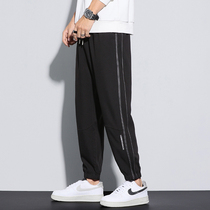 Hong Kong Tidal Wave Spring Autumn Season 2022 New Casual Long Pants Male Korean Version Trendy Loose Beam 90% Harun Pants