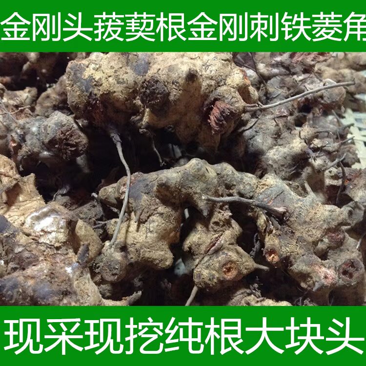 菝葜根现采现晒干金刚头菝葜头金刚藤铁菱角包邮纯天然野生500g