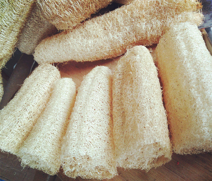 天然农家老干丝瓜络筋瓤刷锅洗碗沐浴球搓澡巾浴花擦背去角质皂托