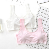 Girls underwear Development period incognito breathable cotton vest Junior high school underwear thin middle school girl bra