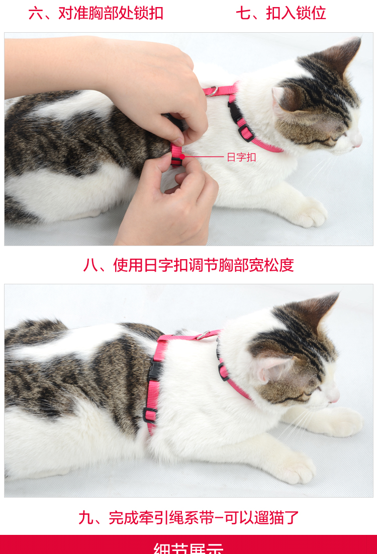 猫咪专用牵引绳防挣脱遛猫绳