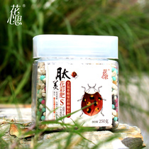 Slow-release fertilizer Granular flower Household flower universal flower fleshy potted seaweed Long-acting organic compound fertilizer