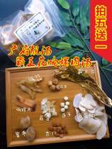 Guangfu Beautiful Soup Summer Bully King Flowers Undersea Coconut Soup Ladle Fever and Soup Material Food Loud Snail Jade Bamboo Shoot 5 Send 1