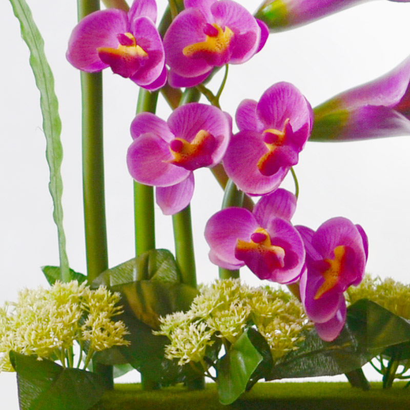 Simulation emulation silk flowers money butterfly orchid orchid fresh flowers miniascape of ceramic household act the role ofing is tasted many optional vase