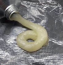 Single Branch Dye Cream Barber Shop Hair Salon Special Ammonia Free Tasteless Hair Dye Cream Wholesale Meaty Dye Hair Cream