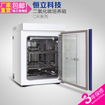 Kangheng carbon dioxide incubator CO2 anaerobic cell tissue bacterial cultivation laboratory incubator manufacturers