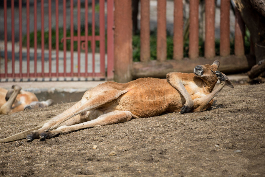 3.21睡眠日:今晚,让全世界一起睡个好觉! - 天猫精选